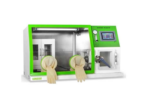 Governo anaerobico del regolatore del microprocessore, incubatrice della coltura cellulare del laboratorio