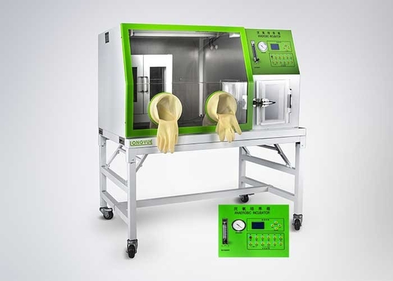 Incubatrice anaerobica del laboratorio della scatola della doppia porta per cultura batterica