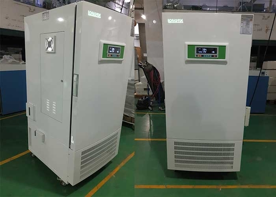 Incubatrice di temperatura costante/linea batteriologiche incubatrice 375L del laboratorio