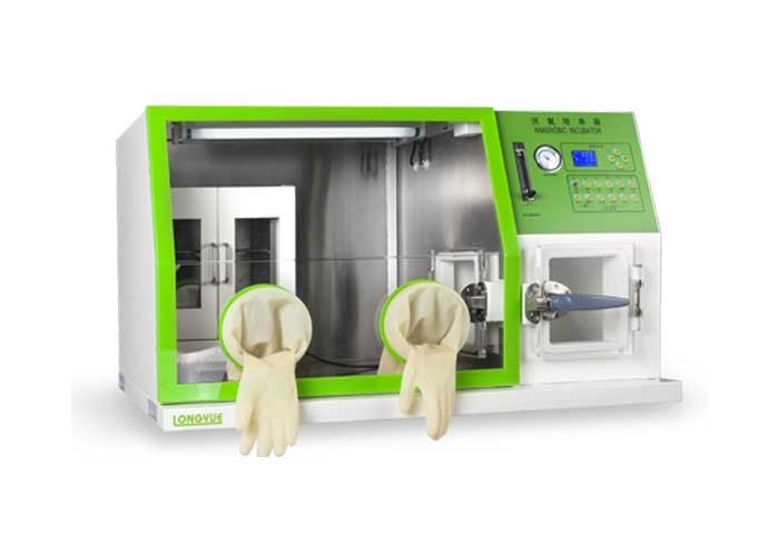 incubatrice anaerobica automatica 600W per la coltura cellulare 82×66×67 LAI-3 del laboratorio