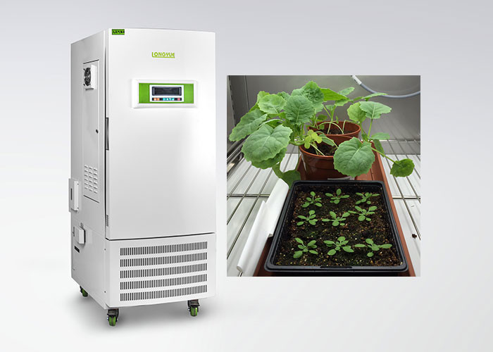 Camera di crescita della pianta di controllo di umidità del CE per il tipo speciale della cultura di tessuto vegetale